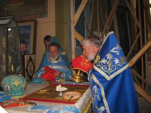 IMG_8833